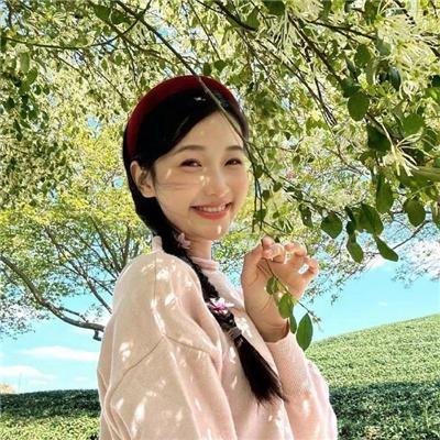 精灵宝可梦:大家的故事